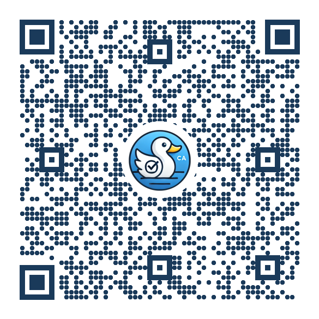 QR Code for Festivals and Celebrations in Public Spaces